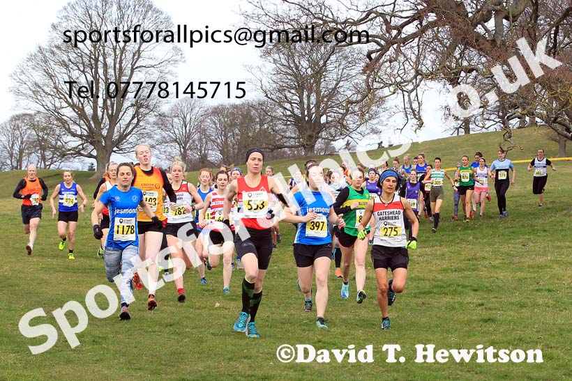 Senior Womens 2023 NEHL, Alnwick, Northumberland. Photo: David T. Hewitson/Sports for All Pics